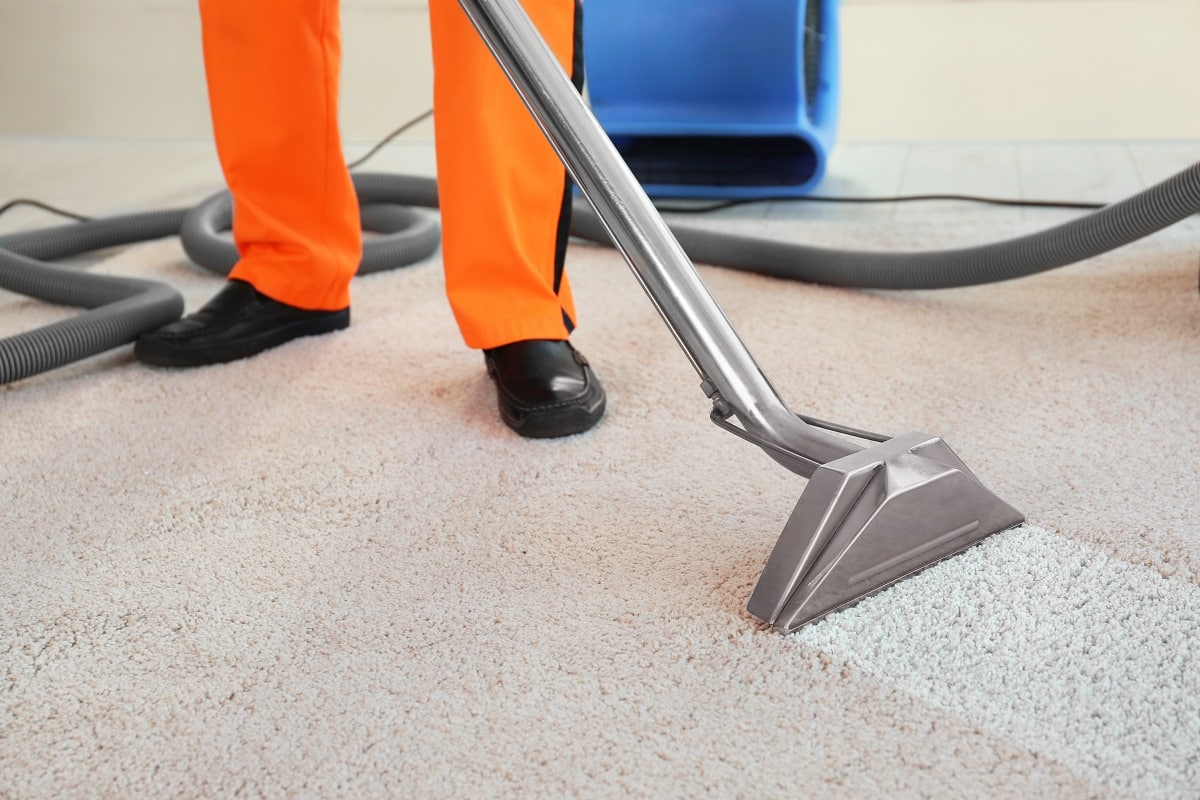 When to Call Professional Carpet Cleaners: Key Triggers and Benefits